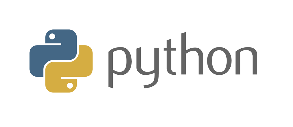 python web development